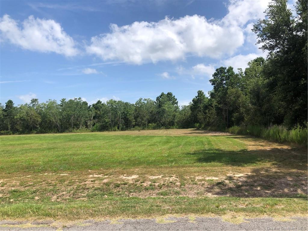 Louisiana Avenue, Gueydan, LA lhrmls01681810