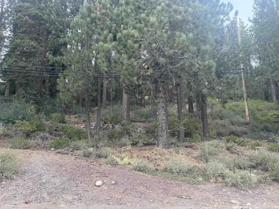 12552 Richards Boulevard, Truckee CA 96161