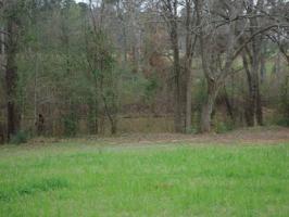 532 Pecan Estates Loop