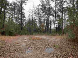 000 Dewberry Drive