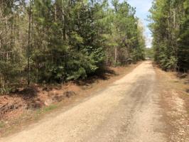 Lot 35 Sec E-3 Red Oak Drive