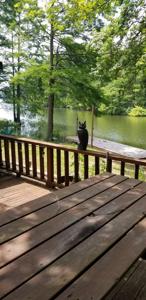 482 Paradise Loop