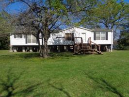 22 Burr Oak C