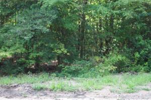 Lot 53 Section 7