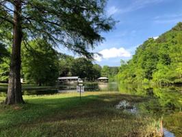 154 Fern Glen