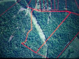 985 Telephone Rd