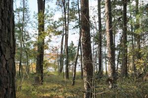 Tract #1-70 Private Road 6026