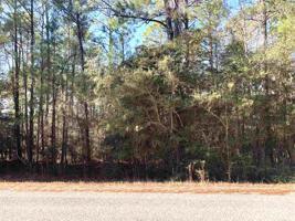Lot 13 Pine Hollow Cove