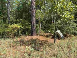 TBD Brentwood Drive