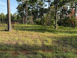 lOT 1 Cypress Pointe