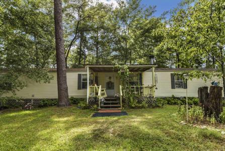 919 County Road 439E