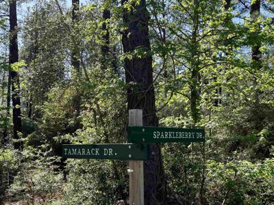 TBD Tamarack Drive