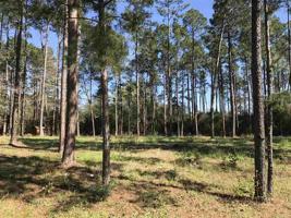 Lot  42 Sec 12 Beachrock