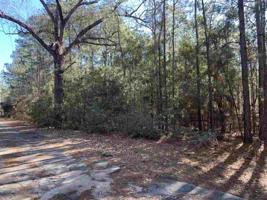 Lot 40 Dewberry Drive