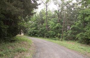 Lot 1 Blk C Winding Way