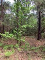 000 Dewberry Drive