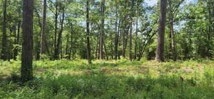 238 Post Oak
