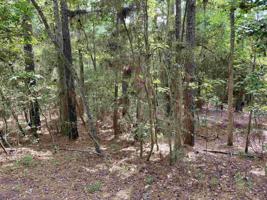 Lot 34 Dewberry Drive
