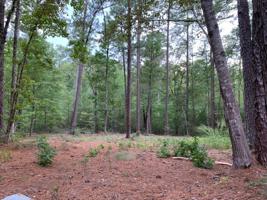 177 Deer Run