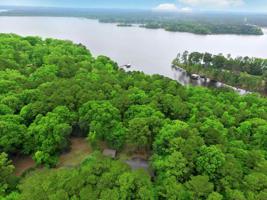 896 Persimmon Dr.