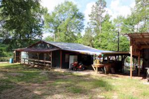 283 Toledo Hills Dr.