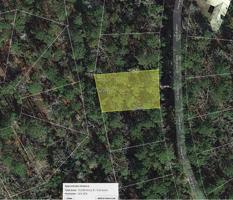 100 Deergrass Drive