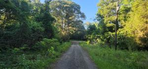 190 Rita Dr
