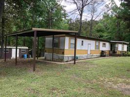 241 White Pine Drive