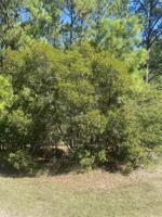 SEC 31 lot 1 Rayburn Country