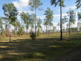 199 Spanish Trail