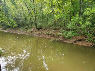 205 Creekside Dr.