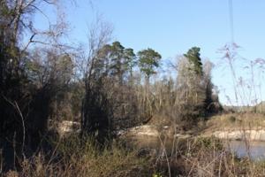 000 Co. Rd. 2145