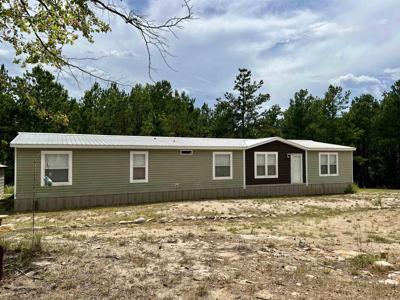 436 Black Squirrel E