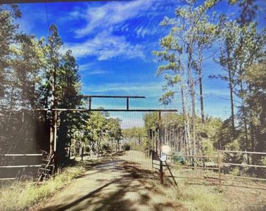 TBD Private Roa Lot 61