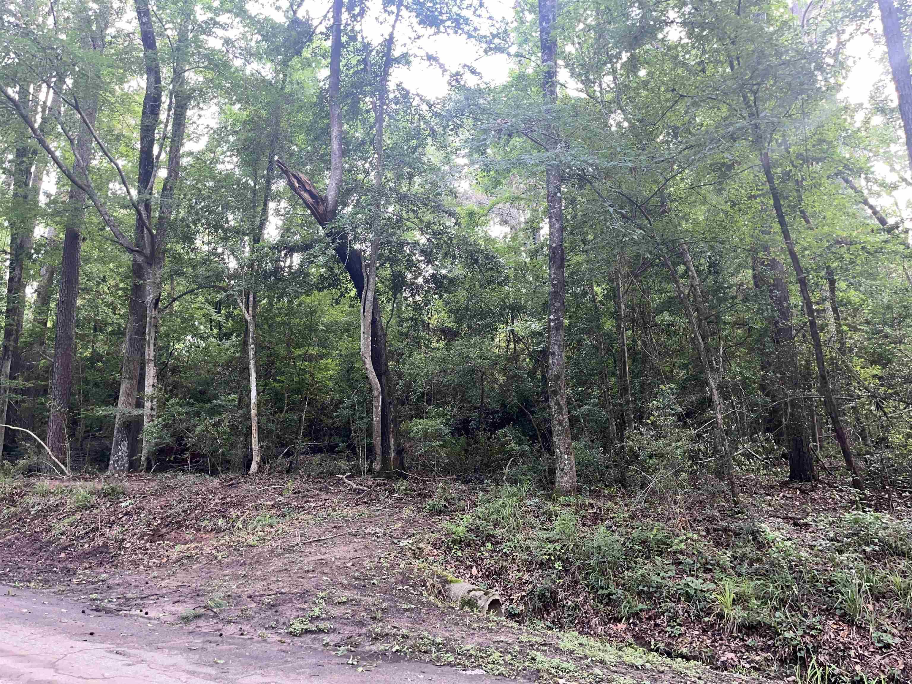 TBD Lakeshore Dr., Hemphill, TX lhrmls02139033