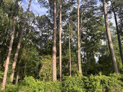 R000120331 Leeward LN.