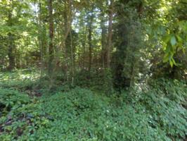 144 River Oaks Drive