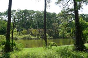 Lot 108 Sec 9 Gatewood Ct