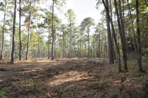 Tract #1-32 Private Road 6025