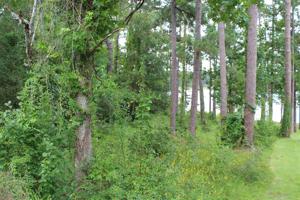 00 Ashley Dr