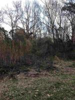 129 Kingfisher Dr.