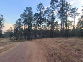 Tract 1 Lot 65 PR 6026