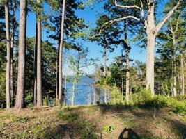 904 Nine Mile Road