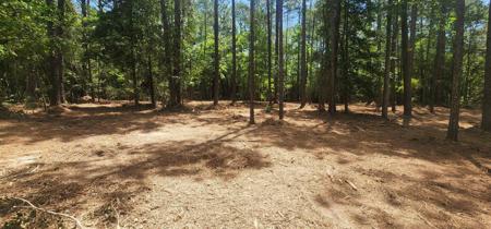 297 Sweetgum Dr