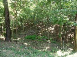 Lot 44 Dogwood Forest 2