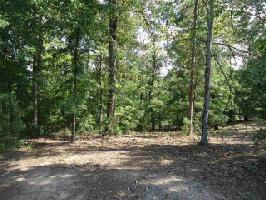 Lot 3 Dogwood Forest