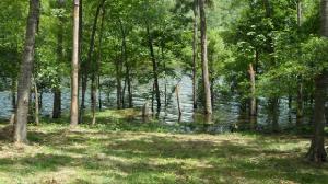 Lot #52 Morgans Cove
