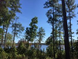 22 CR 222 (Tiger Creek Rd)