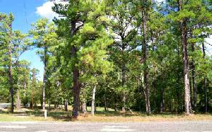 Sec.2 Lot 35 Lakeshore