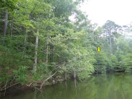 254 Jim Bowie Dr